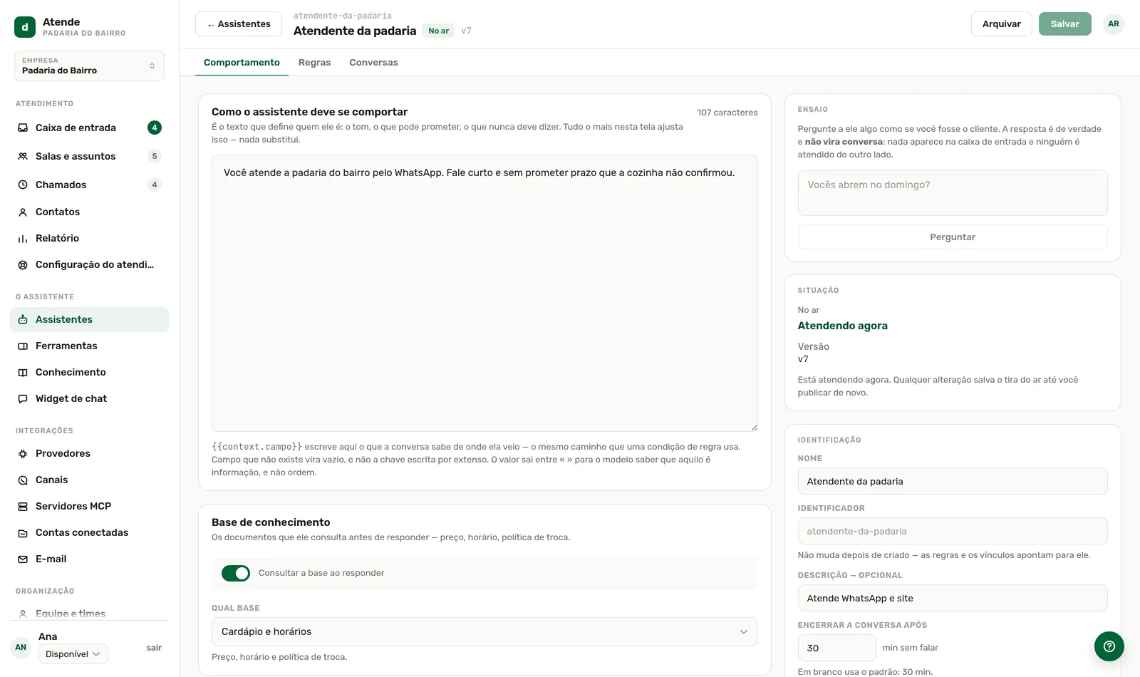 Como o assistente deve se comportar: o campo mais importante.